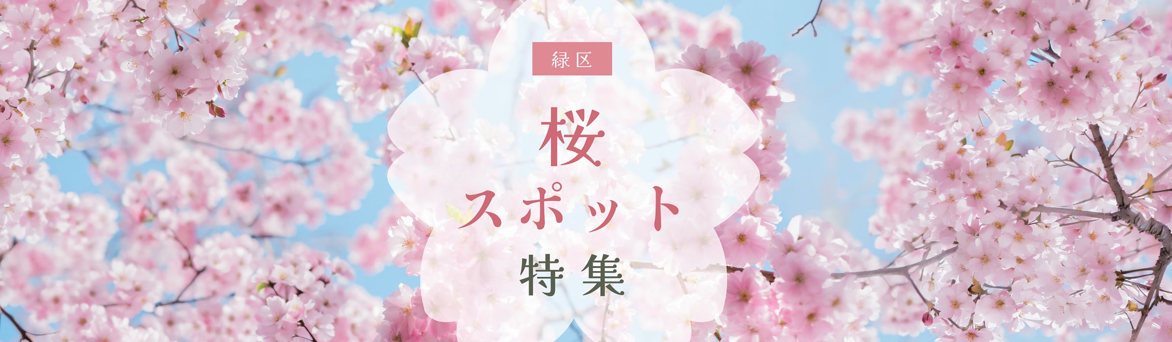 桜スポット特集