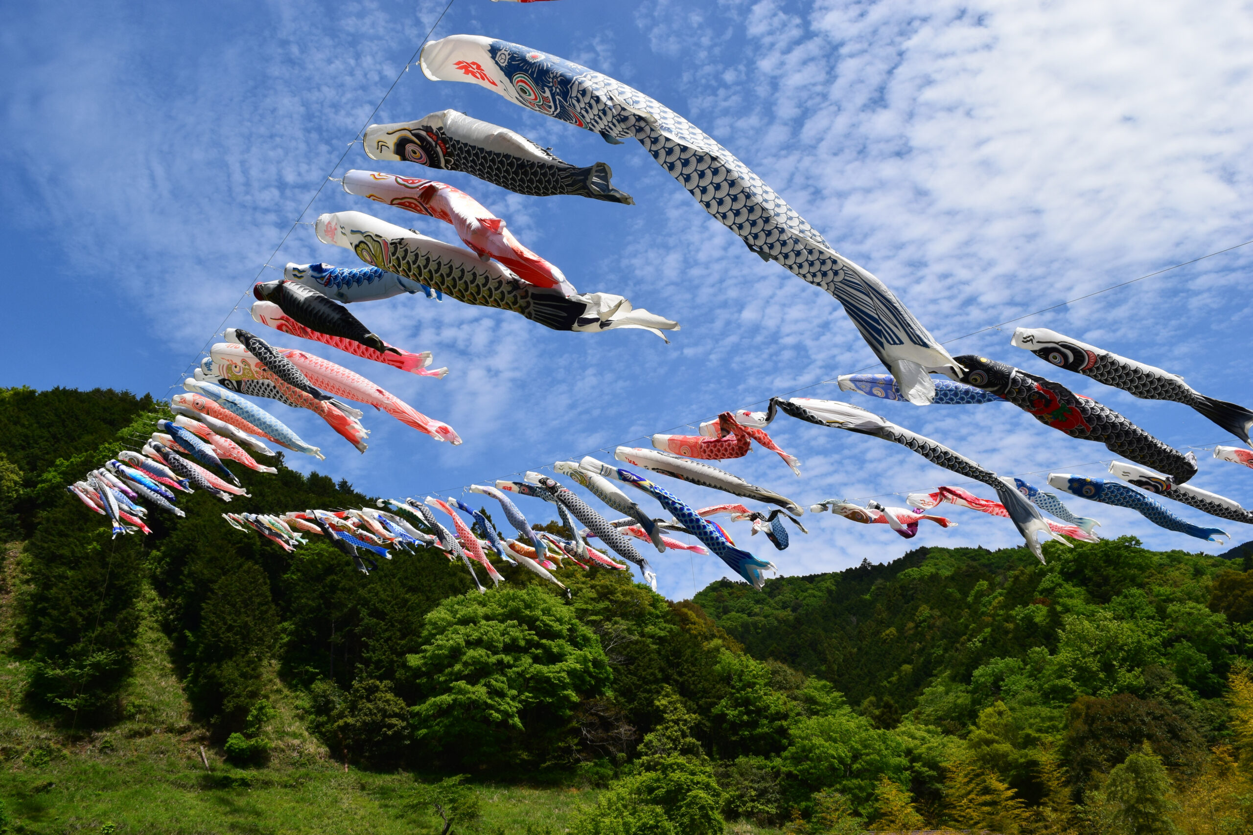 このイベントは終了しました】【4月29日(水・祝)～5月5日(火・祝)開催 